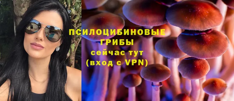 Галлюциногенные грибы Magic Shrooms  продажа наркотиков  Когалым 